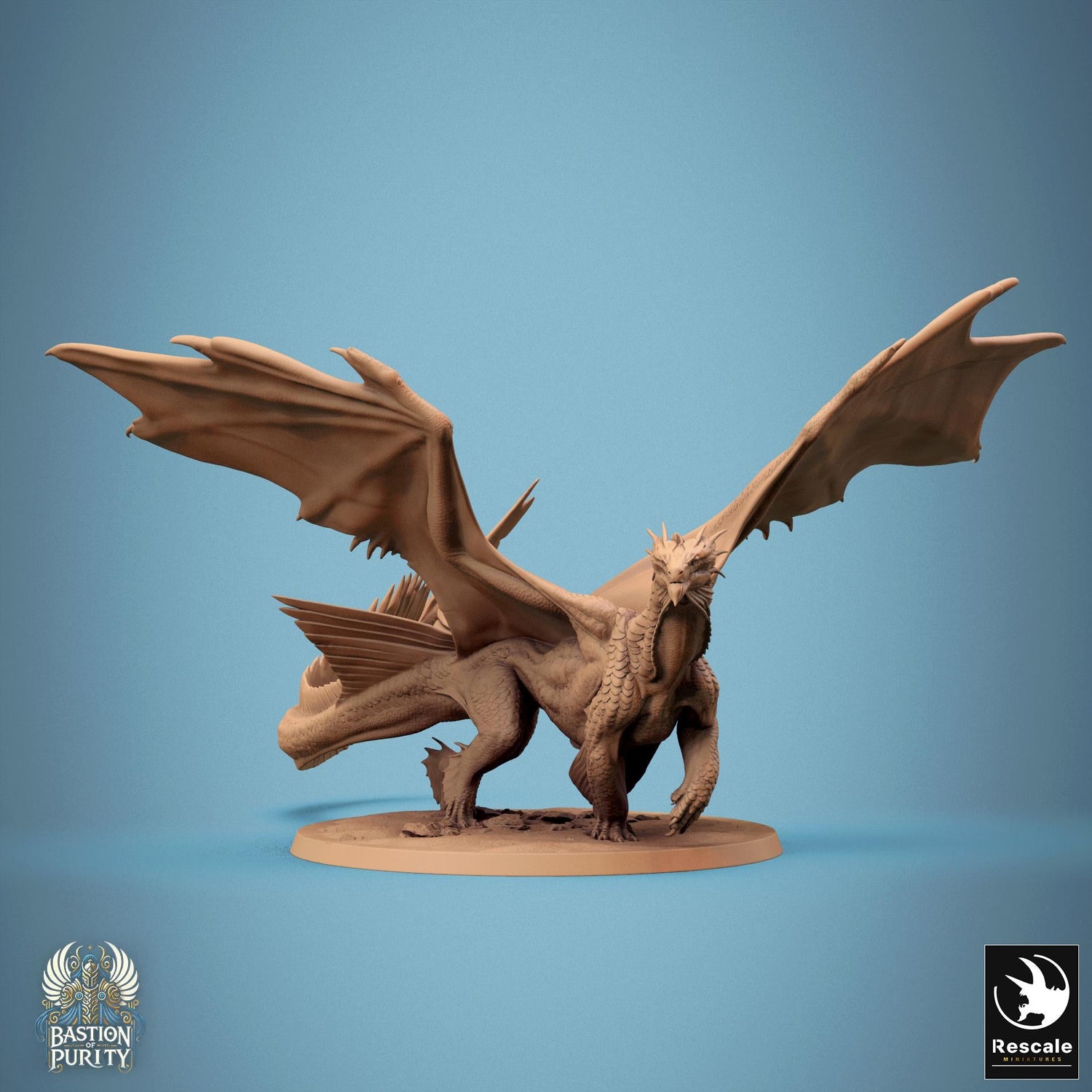 Dragons