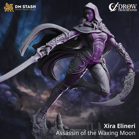 Xira Elineri - Assassin of the Waxing Moon | DM Stash | Drow From Beyond