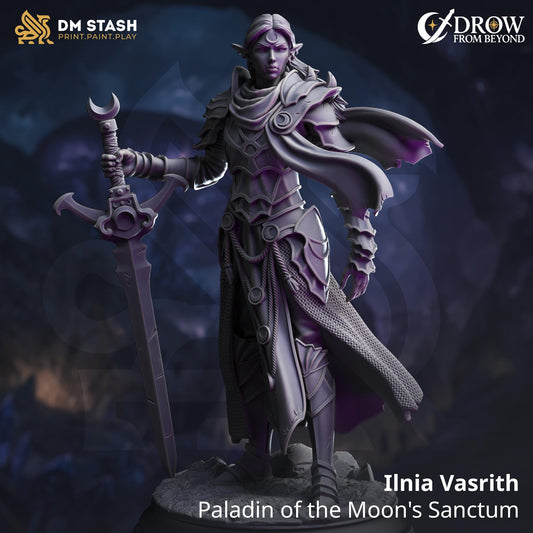 Ilnia Vasrith - Paladin of the Moons Sanctum | DM Stash | Drow From Beyond