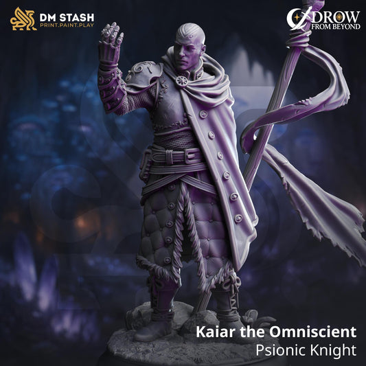 Kaiar the Omniscient - Psionic Knight | DM Stash | Drow From Beyond