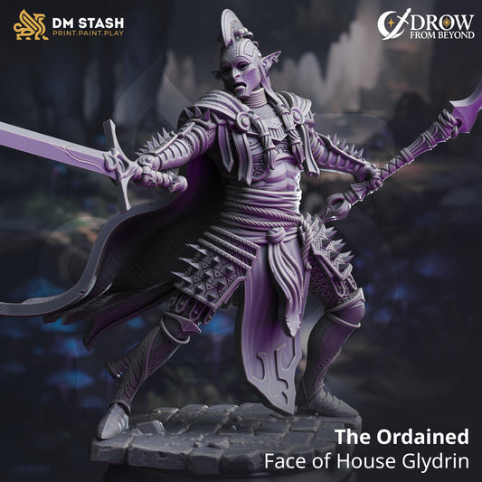 The Ordained - Face of House Glydrin | DM Stash | Drow From Beyond