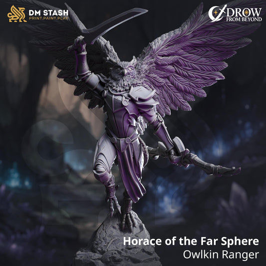 Horace of the Far Sphere - Owlkin Ranger | DM Stash | Drow From Beyond